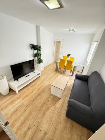 Salón-comedor común · sofá, mesa de centro, televisión y zona de comedor